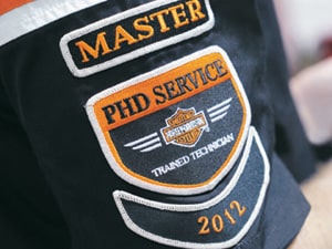Master Train Tech Badge Emblem 